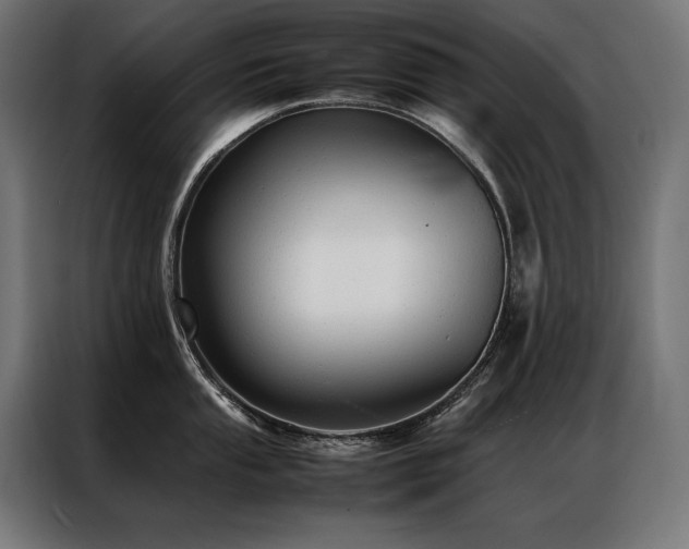 X0000087021053200704161558