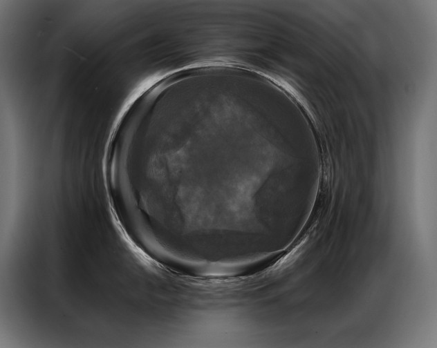 X0000087021054200704161558