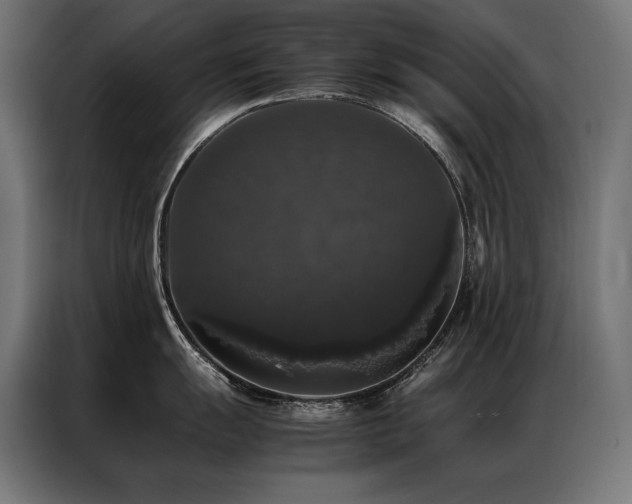 X0000087021055200704161558