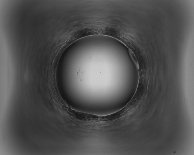 X0000087021057200704161557