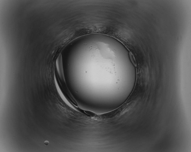 X0000087021058200704161557