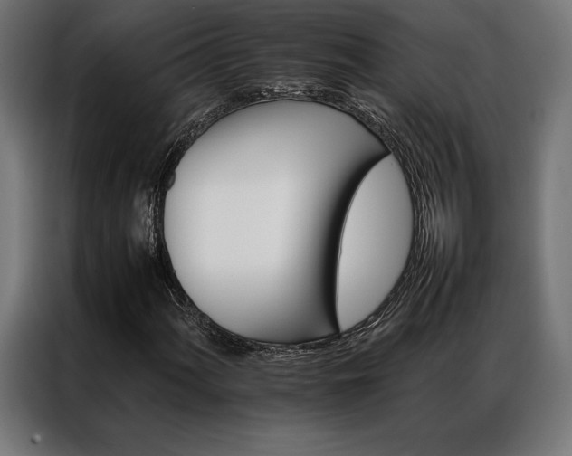X0000087021060200704161557