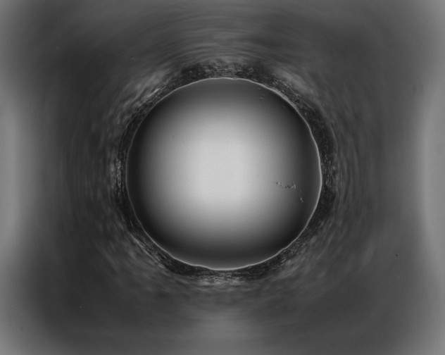 X0000087021061200704161557