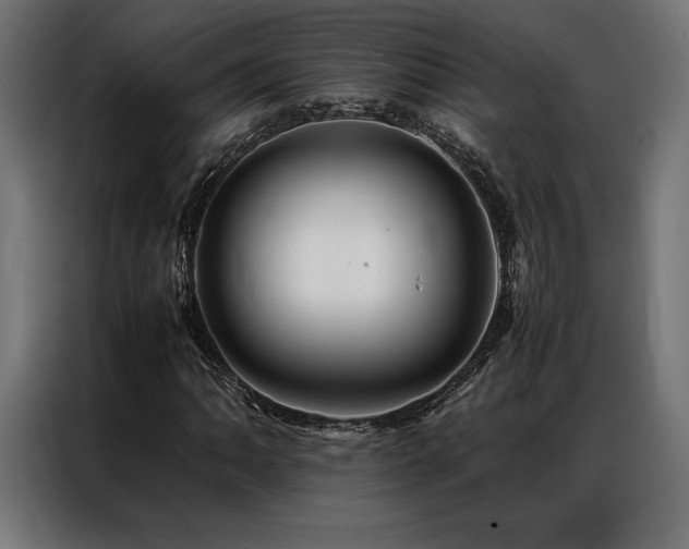 X0000087021062200704161557