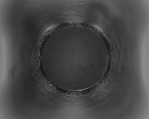 X0000087021063200704161557