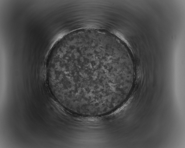 X0000087021067200704161557