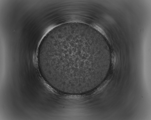 X0000087021068200704161557