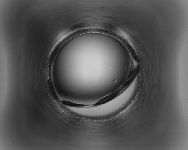 X0000087021069200704161557