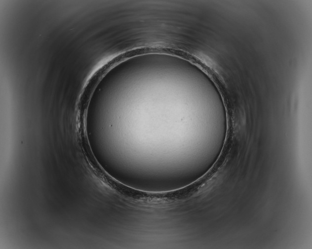 X0000087021070200704161557