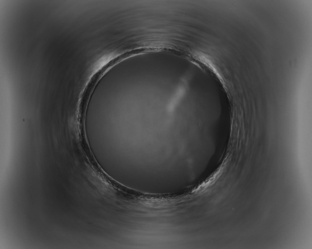 X0000087021071200704161557