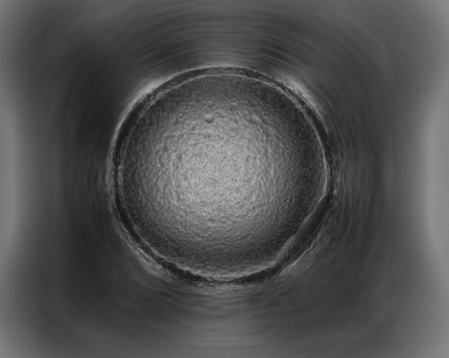 X0000087021072200704161557