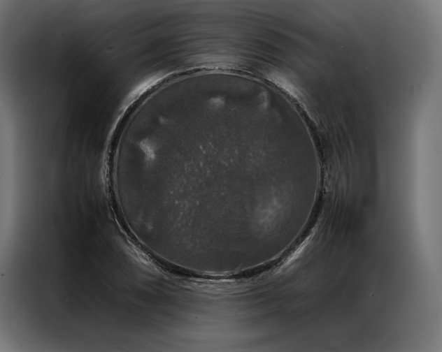 X0000087021074200704161557
