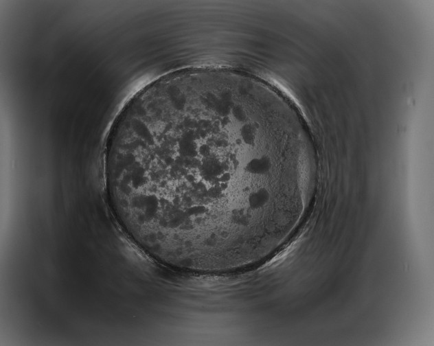 X0000087021075200704161557