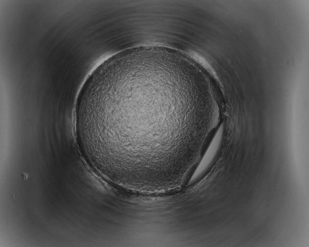 X0000087021076200704161557