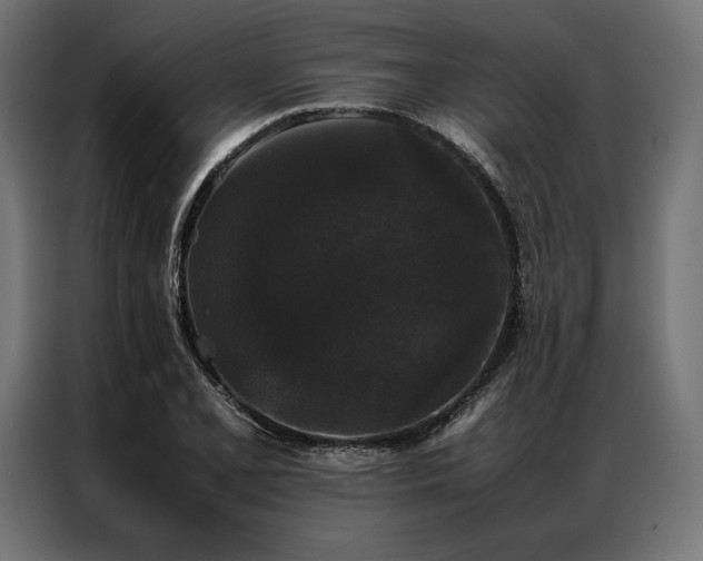 X0000087021077200704161557