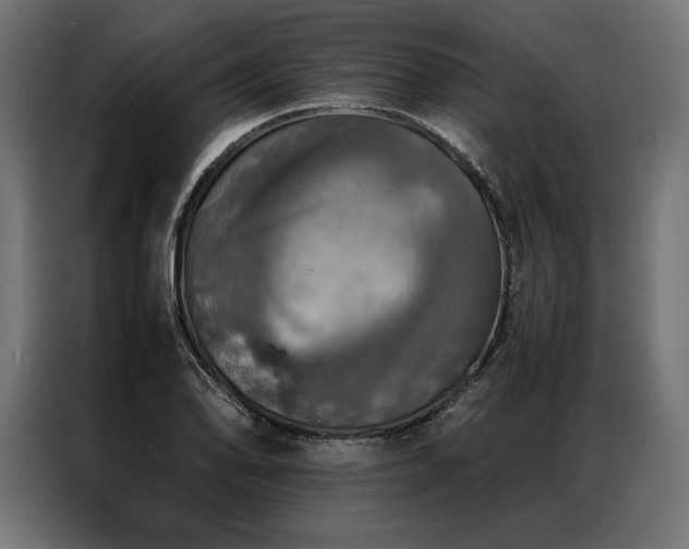 X0000087021078200704161557