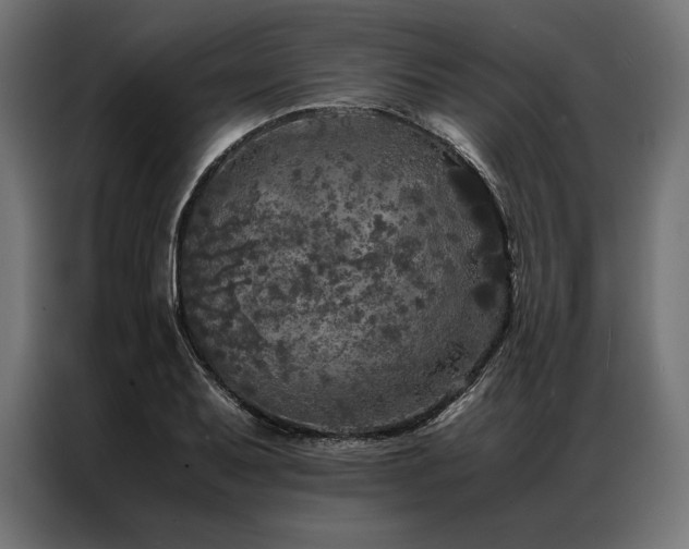 X0000087021079200704161557