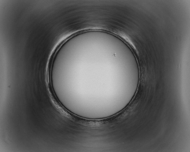 X0000087021080200704161557