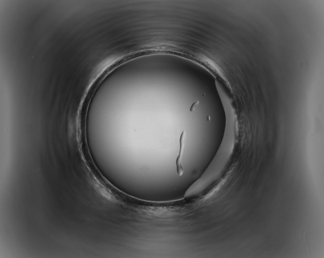 X0000087021082200704161557