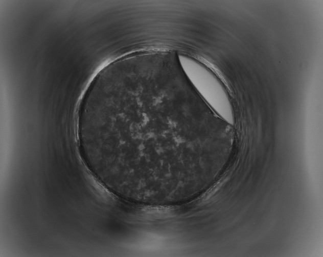 X0000087021083200704161557