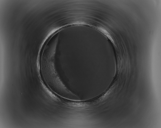 X0000087021084200704161557