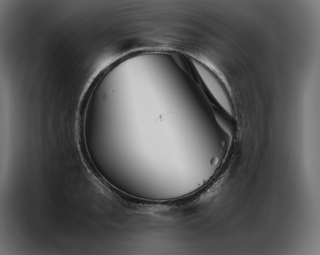 X0000087021085200704161557