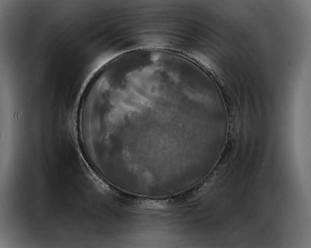 X0000087021086200704161557