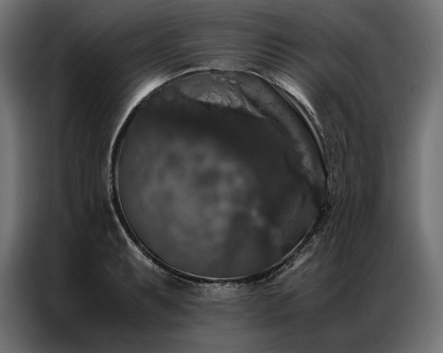 X0000087021087200704161557