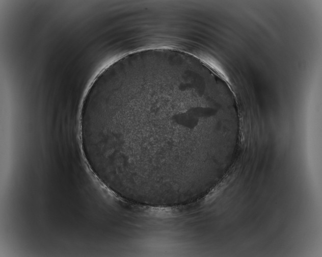 X0000087021088200704161557