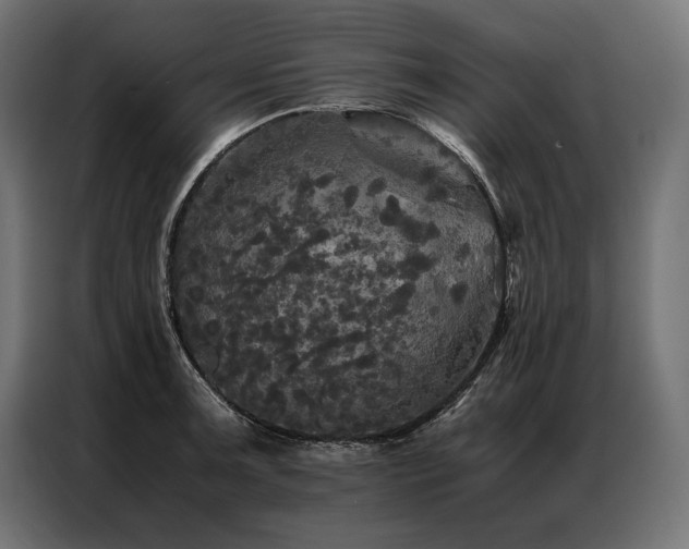 X0000087021091200704161557