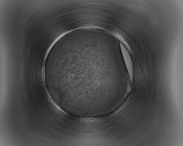 X0000087021092200704161557
