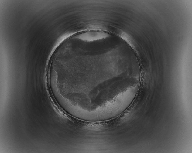 X0000087021094200704161557