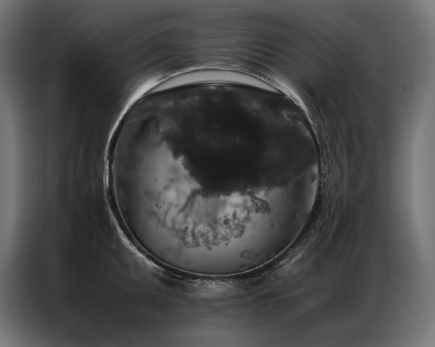 X0000087021095200704161557