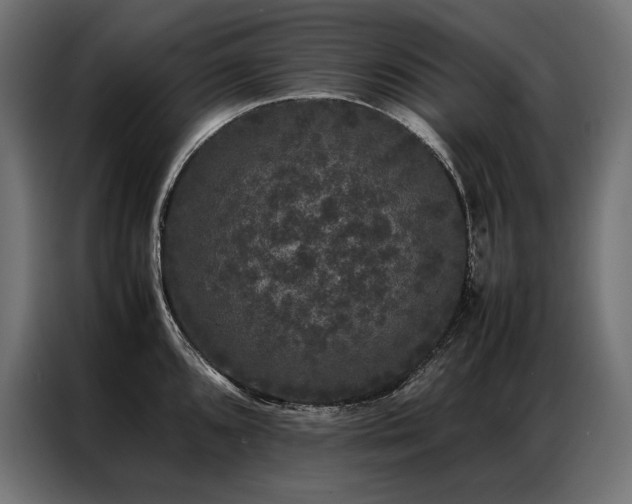 X0000087021096200704161557