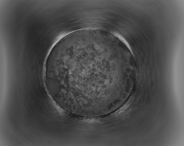 X0000087021099200704161557
