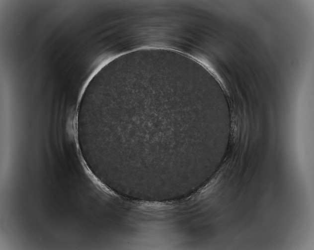 X0000087021100200704161557
