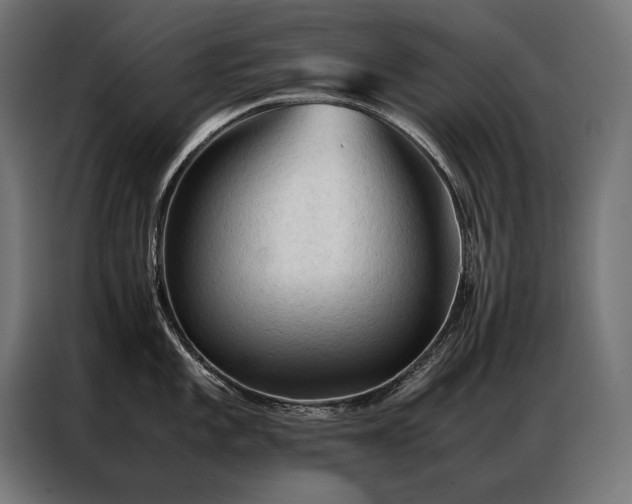 X0000087021101200704161557
