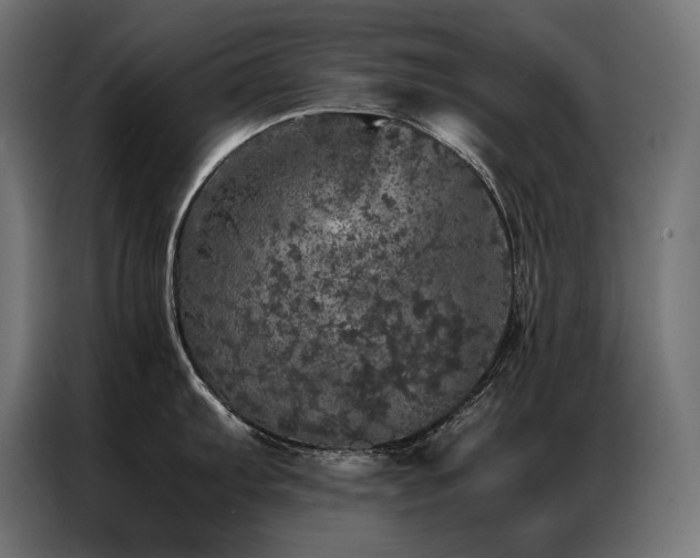 X0000087021103200704161556