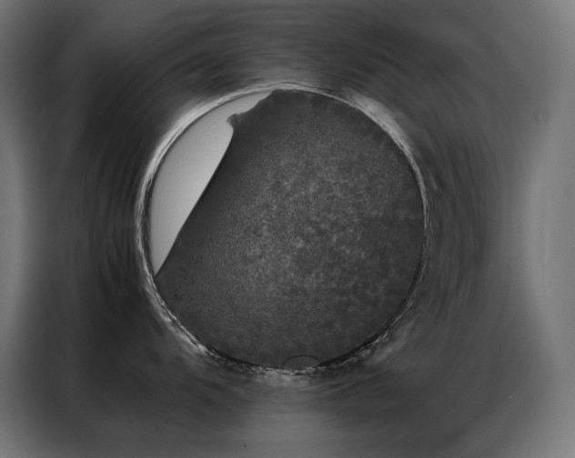 X0000087021104200704161556