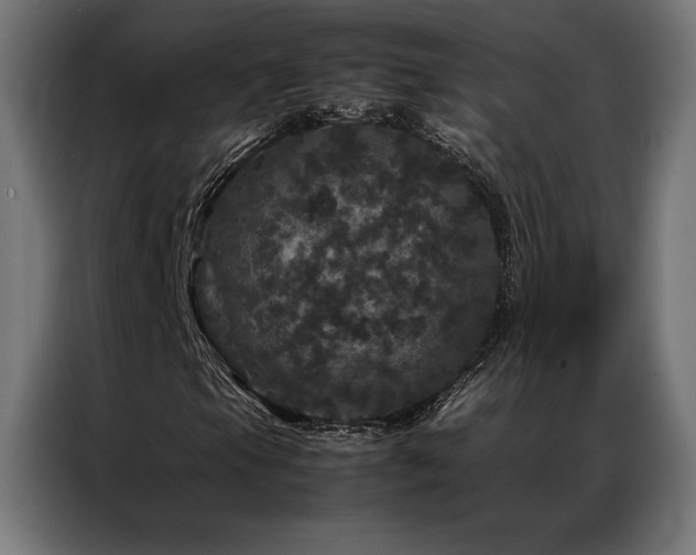 X0000087021105200704161556
