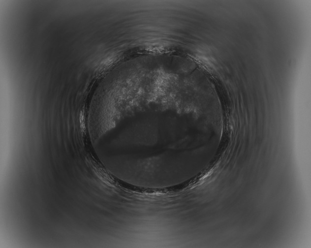 X0000087021106200704161556