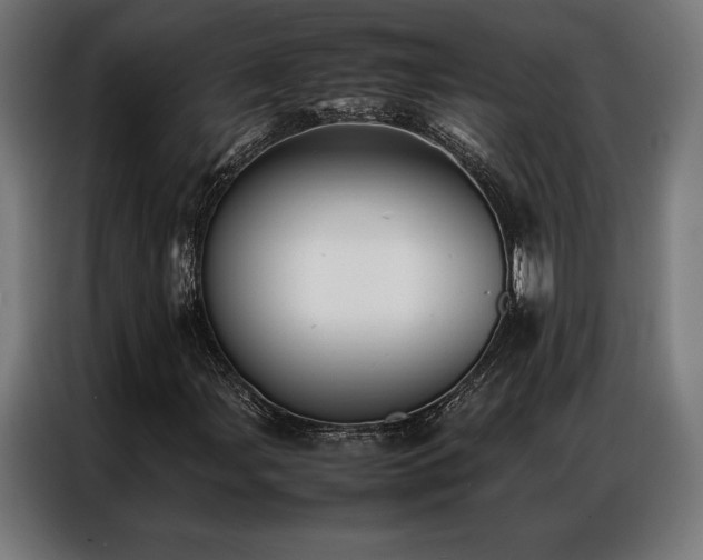 X0000087021107200704161556