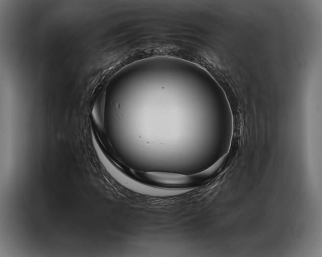 X0000087021109200704161556
