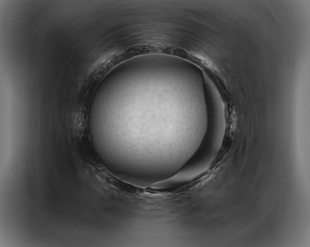 X0000087021110200704161556
