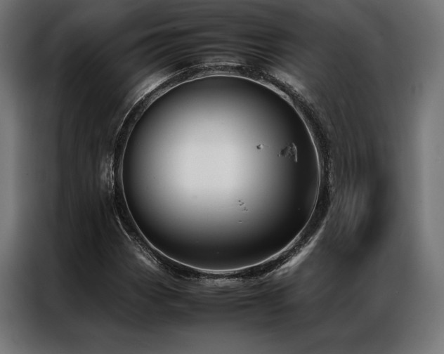 X0000087021113200704161556