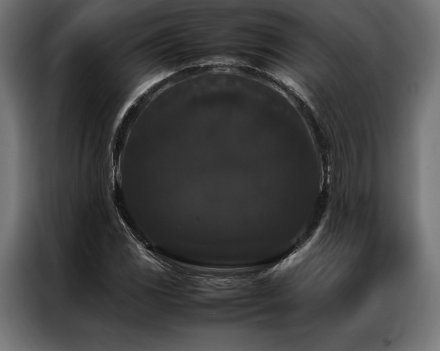 X0000087021117200704161556