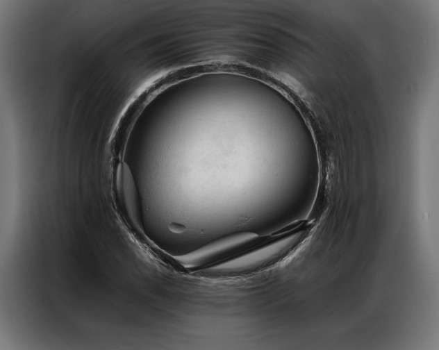 X0000087021118200704161556