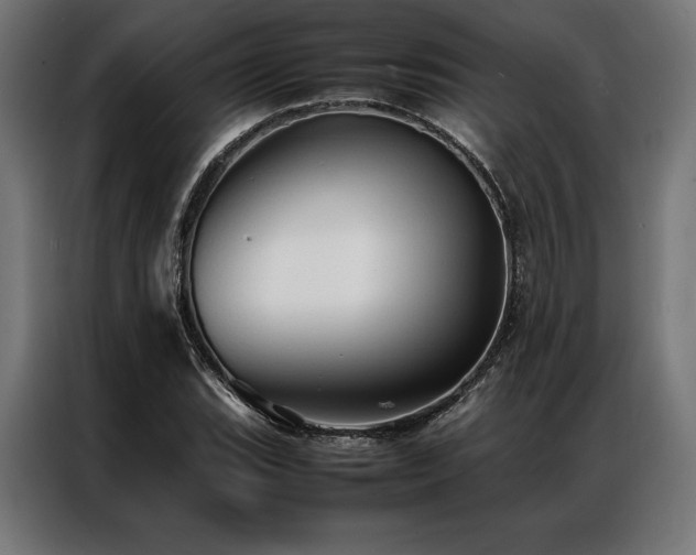X0000087021119200704161556