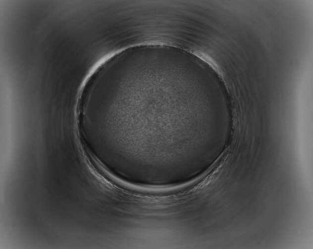 X0000087021120200704161556