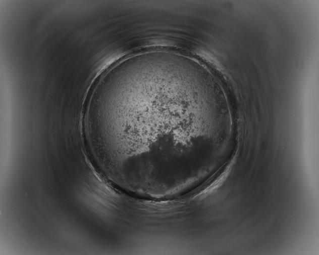 X0000087021121200704161556
